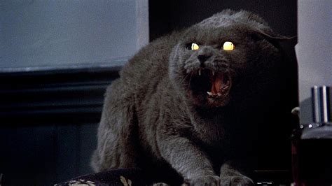 Pet Sematary 1989 watch